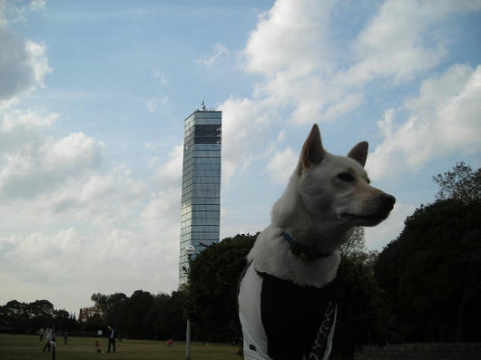 DSCN8994.JPG