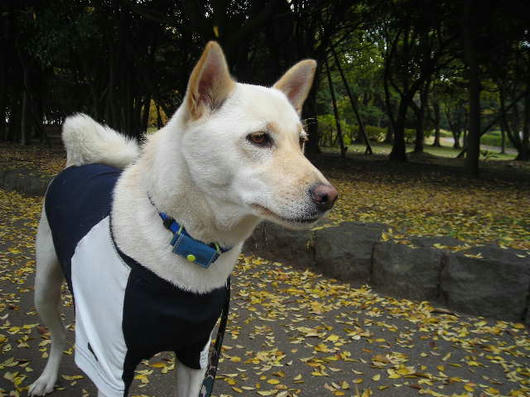 DSCN8990.JPG