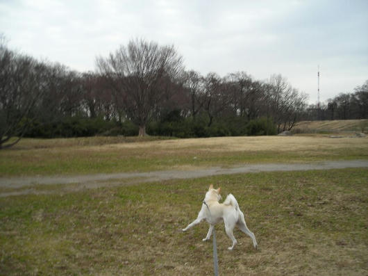 DSCN9301.JPG