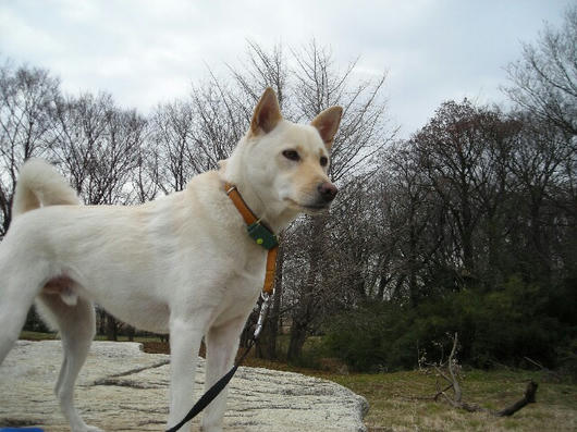 DSCN9313.JPG