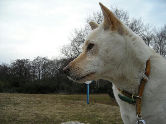 DSCN9310.JPG