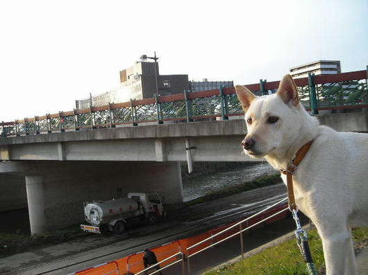 DSCN9330.JPG