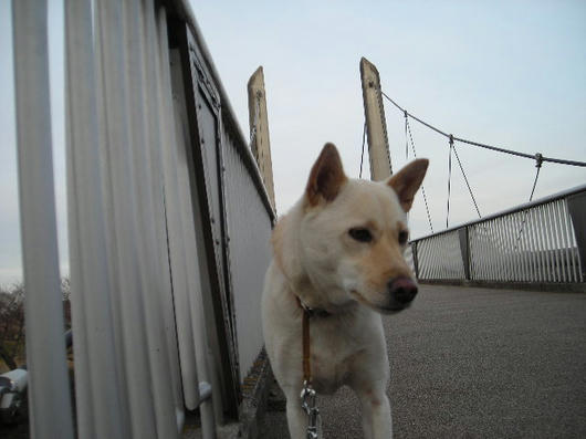DSCN9331.JPG
