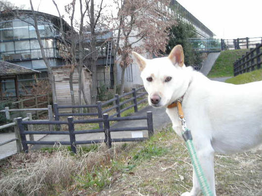 DSCN9336.JPG