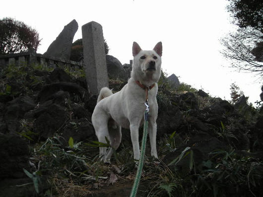 DSCN9361.JPG