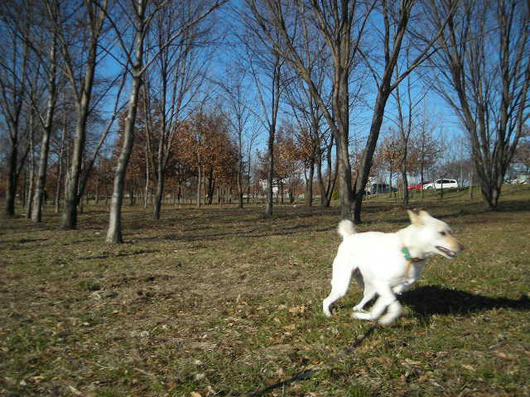 DSCN9516.JPG