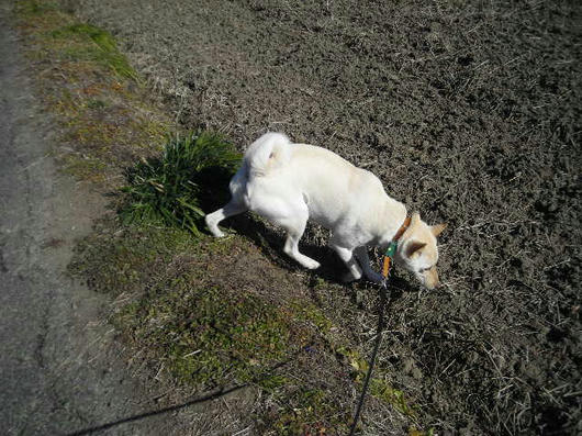 DSCN9528.JPG