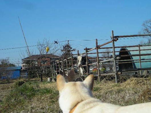 DSCN9533.JPG