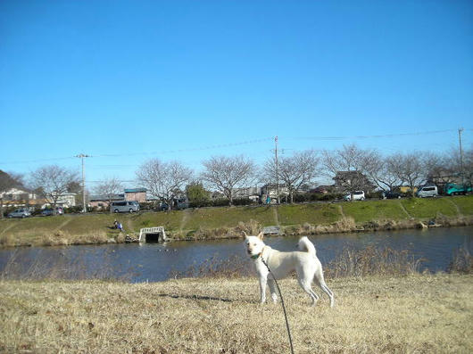 DSCN9521.JPG