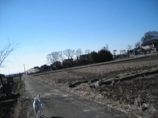 DSCN9531.JPG