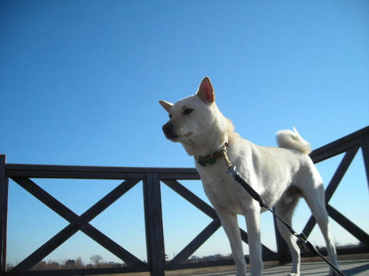 DSCN9512.JPG