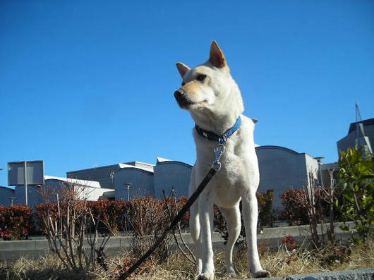 DSCN9562.JPG