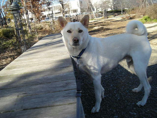 DSCN9572.JPG