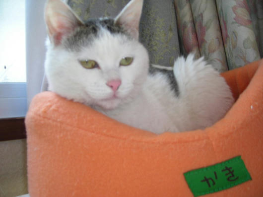 DSCN9589.JPG