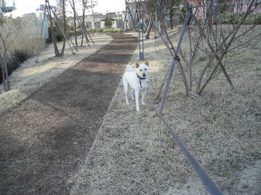 DSCN9580.JPG