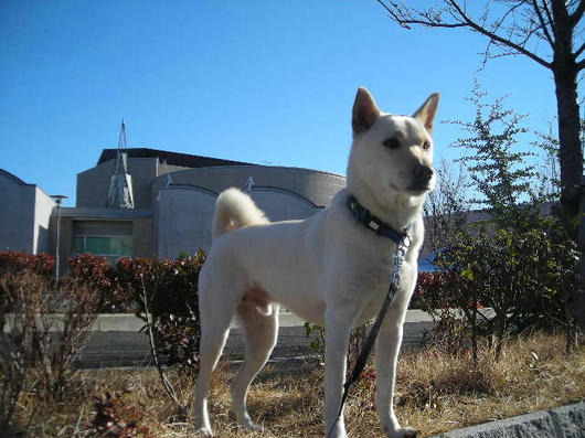 DSCN9563.JPG