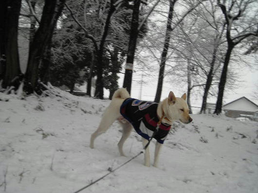 DSCN9655.JPG