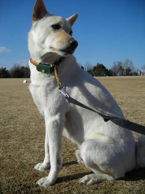 DSCN9806.JPG