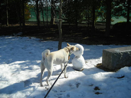 DSCN9795.JPG