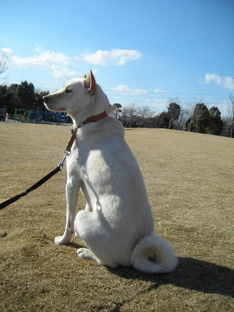 DSCN9804.JPG