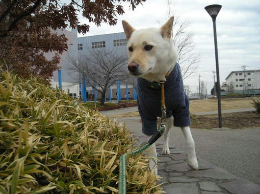 DSCN9864.JPG
