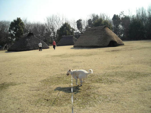 DSCN0132.JPG
