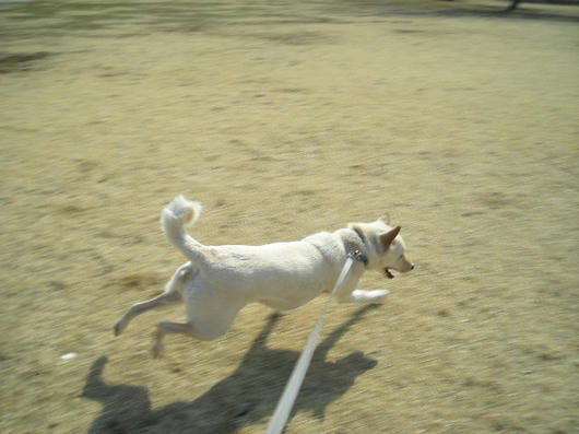DSCN0156.JPG