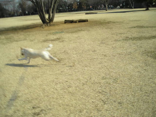 DSCN0131.JPG