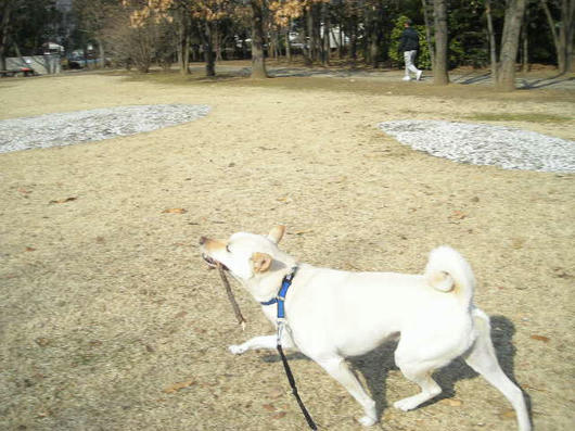 DSCN0122.JPG