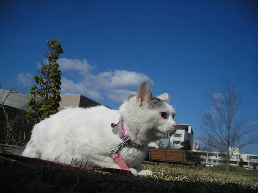 DSCN0279.JPG