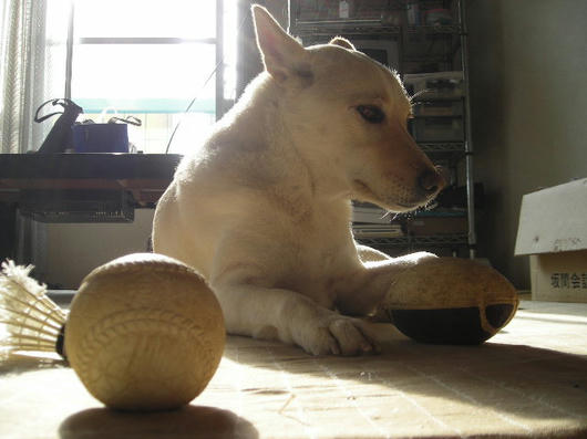 DSCN0338.JPG