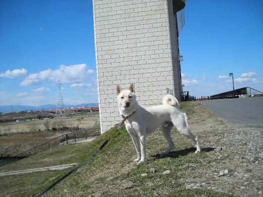 DSCN0440.JPG