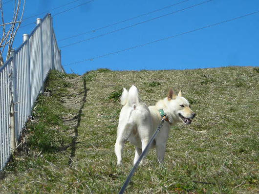 DSCN0431.JPG