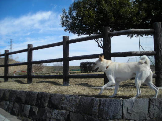 DSCN0425.JPG
