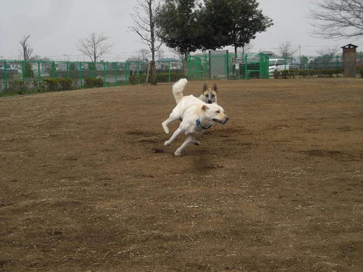 DSCN0519.JPG