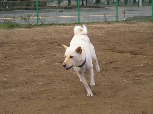 DSCN0509.JPG