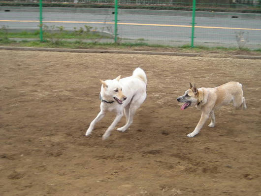 DSCN0530.JPG