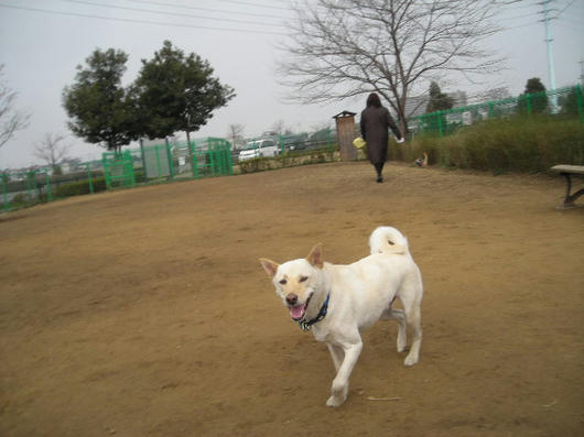 DSCN0539.JPG