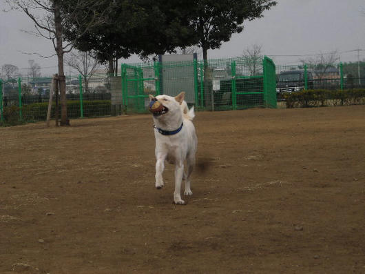 DSCN0544.JPG