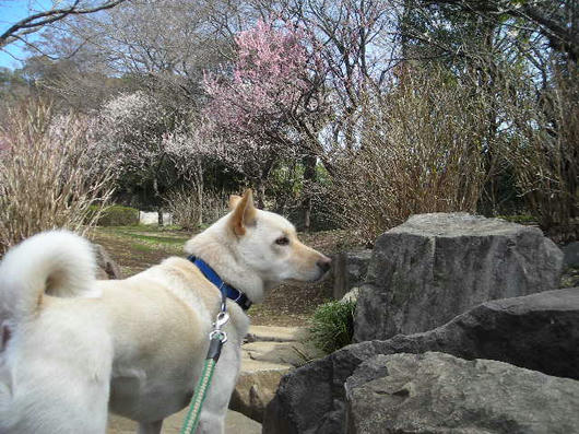DSCN0614.JPG