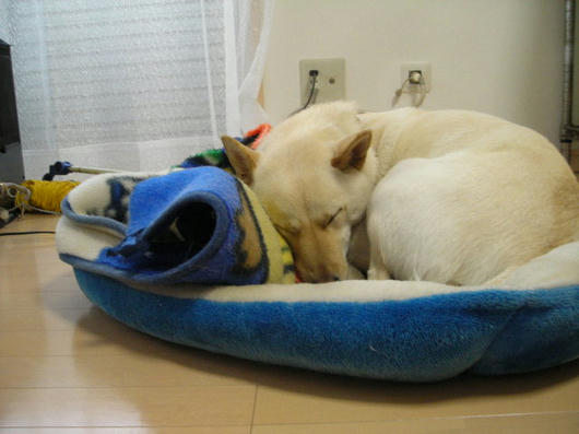 DSCN0659.JPG