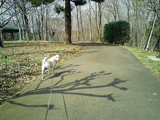 080325_132650.jpg
