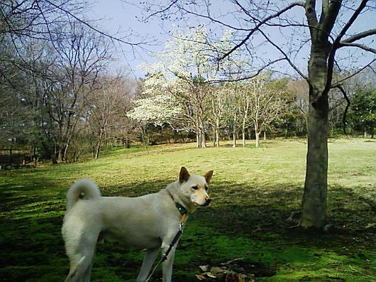 080325_120608.jpg