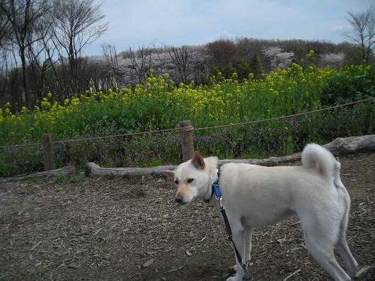 DSCN0765.JPG