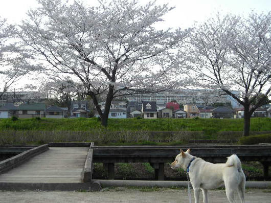 DSCN0781.JPG