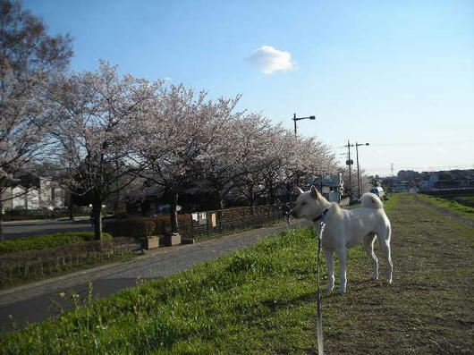 DSCN0789.JPG