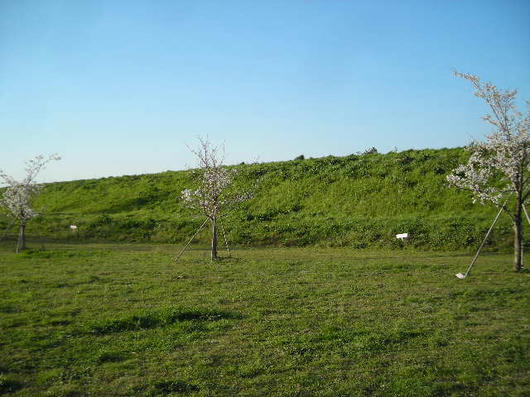 DSCN0814.JPG