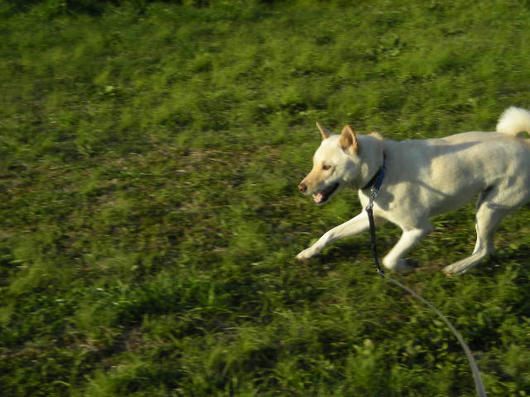 DSCN0802.JPG