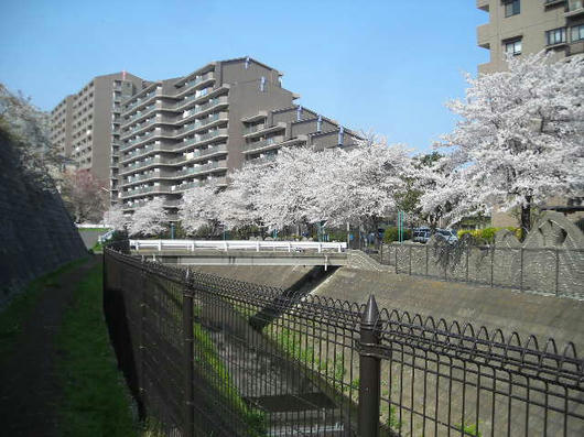 DSCN0943.JPG