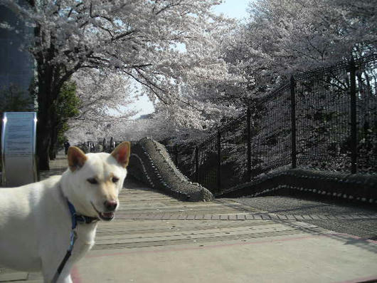DSCN0979.JPG